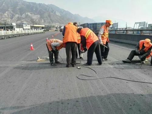 黑水道路桥梁病害治理